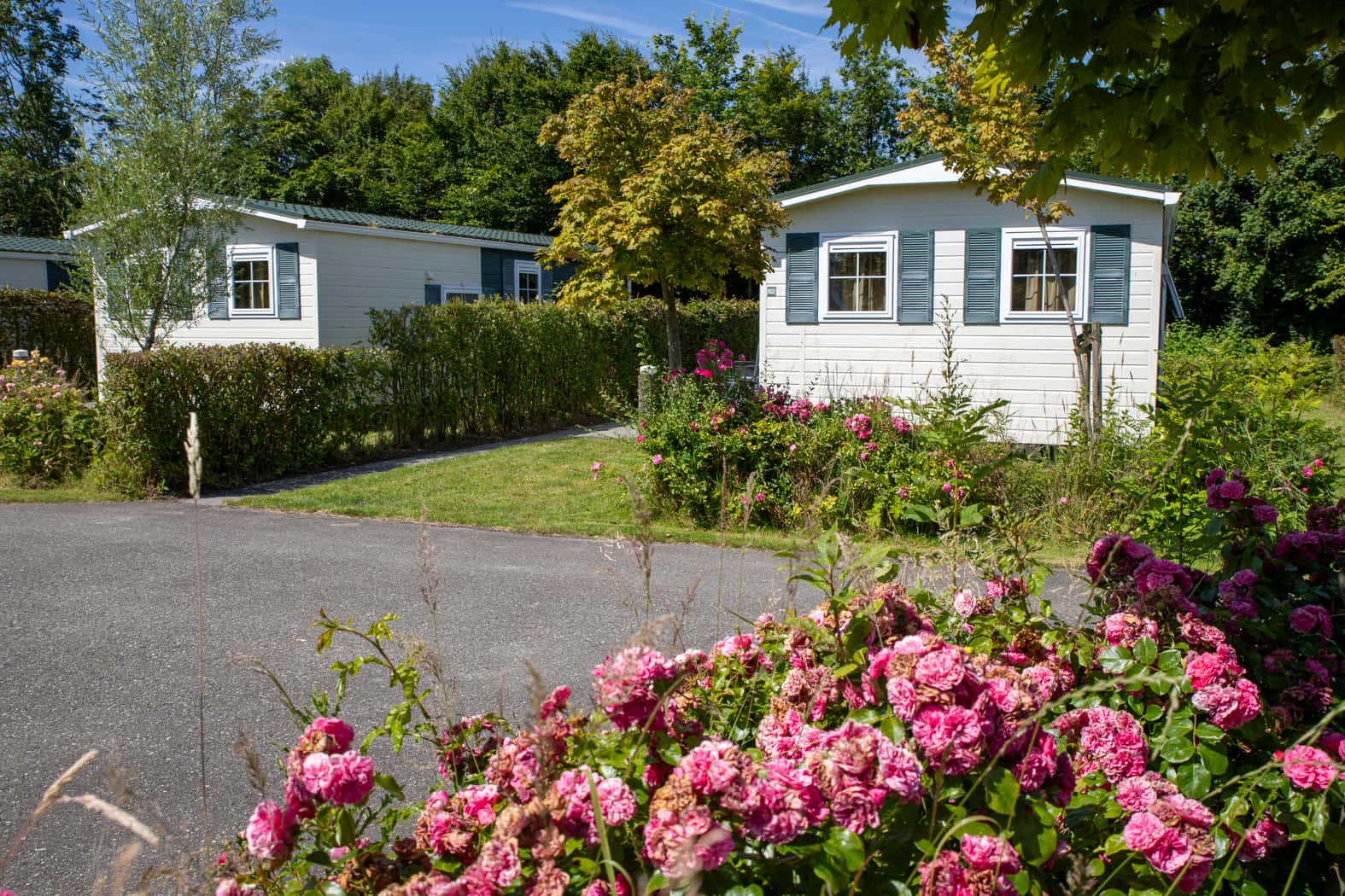 Chalet Bevelander (5 Personen)