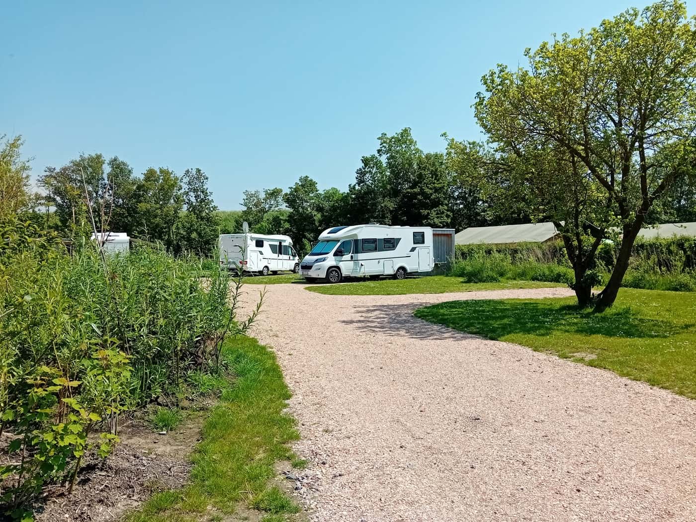 Luxus Comfortplatz XL (gepflastert) (150m2)