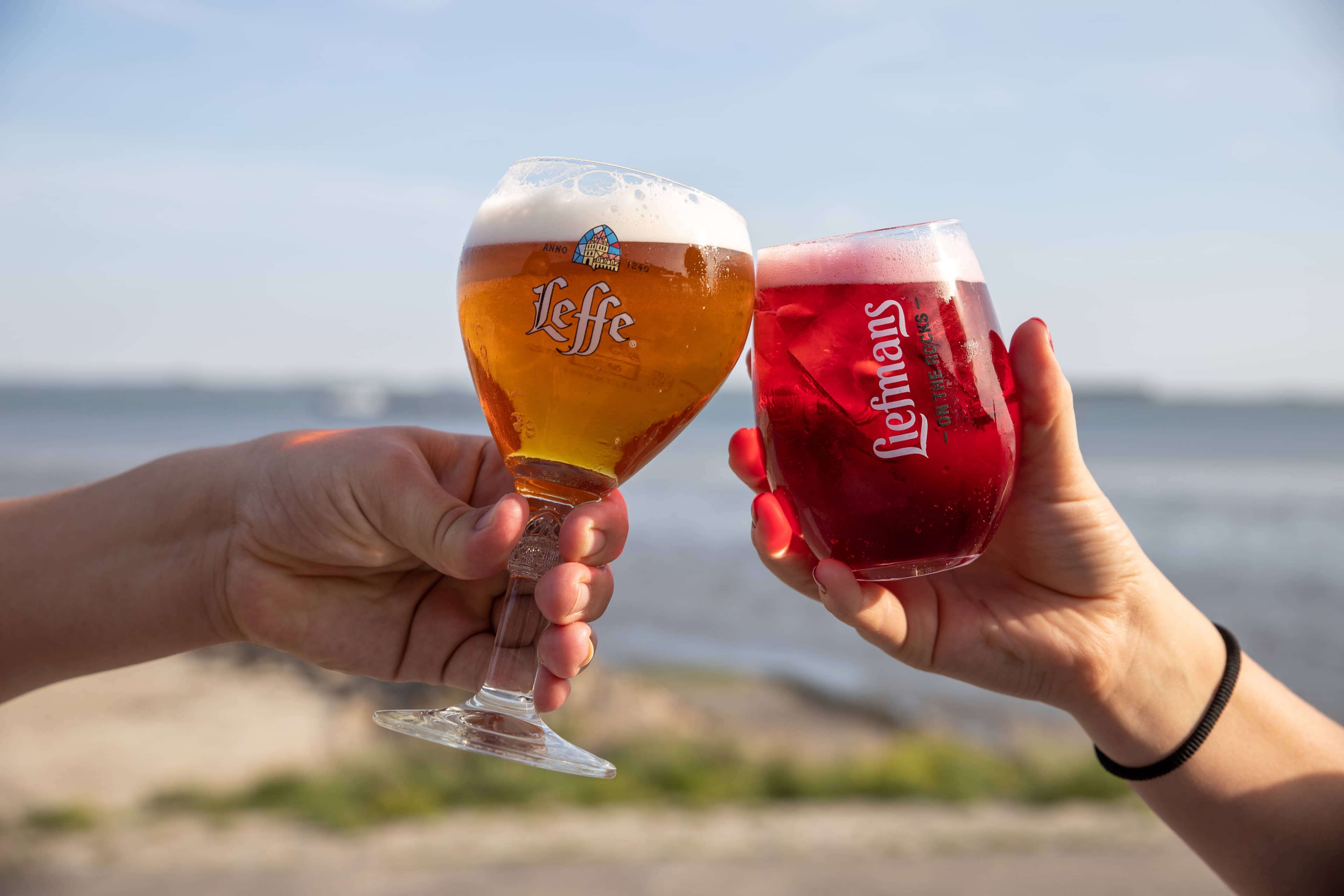 Schelde Brasserie die Landung